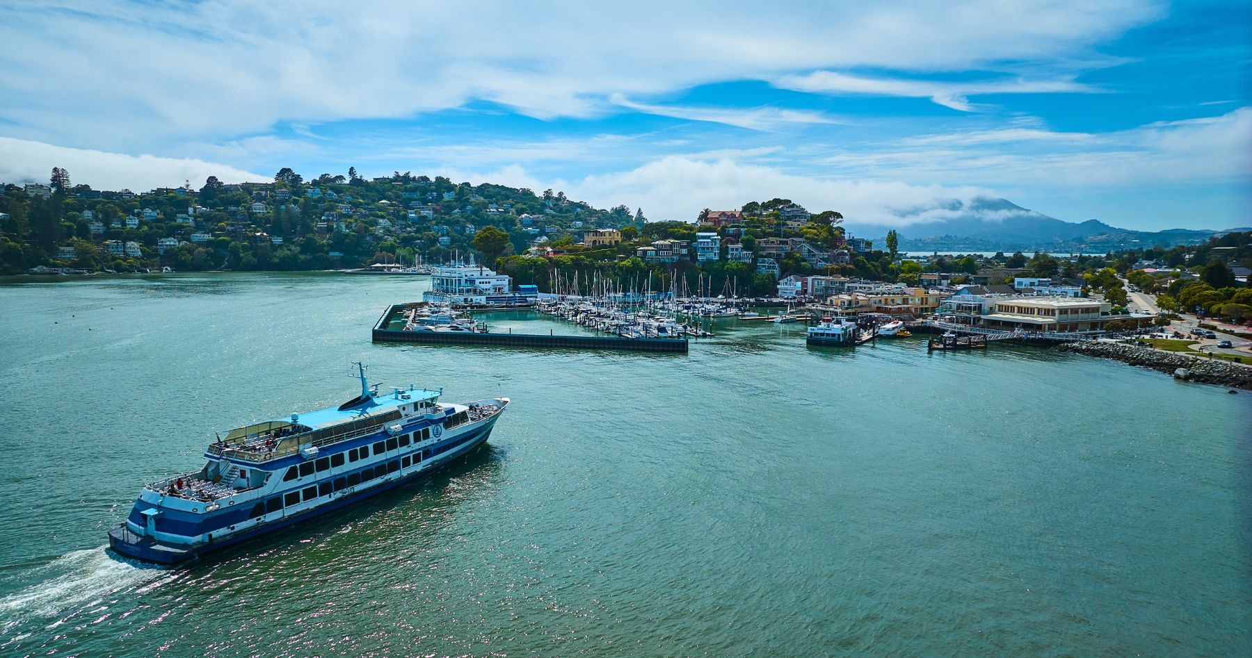 The Tiburon ferry arriving past the harbor and Main Street